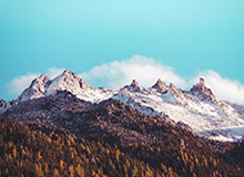 玄学源于此？齐达内现身伯纳乌观看皇马对阵曼城的比赛