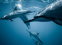 2026世界杯高清直播下载-克洛普：面对10人防守没法弄 西布朗能始终这么踢？